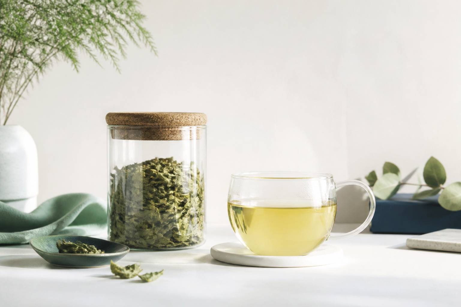 Bocal de feuilles de mélisse séchées et tasse de tisane citronnée sur fond clair